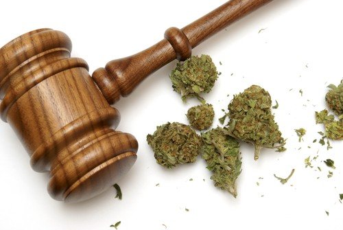 Marijuana Growing Operation, Illegal Search – CASE DISMISSED